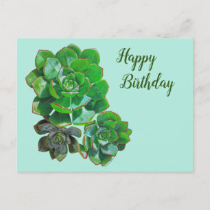 Tarjeta postal de rosette Succulens