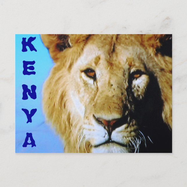 Tarjeta postal de safari en Kenia (Anverso)