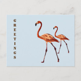 Tarjeta postal de saludo a los flamencos rosados