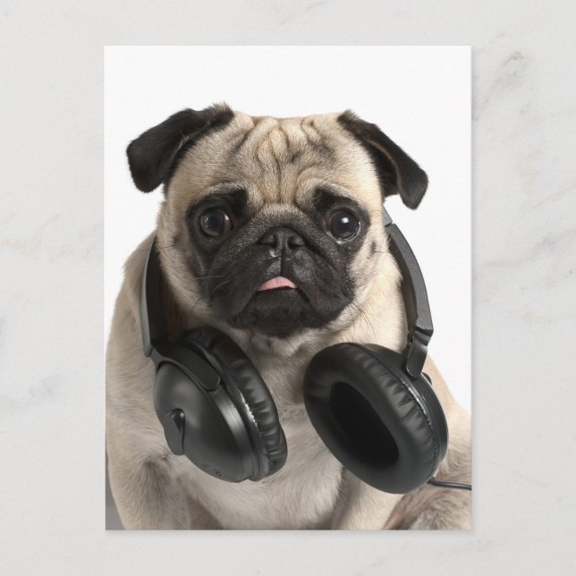Tarjeta postal de saludo a Perro de Pug Puppy (Anverso)