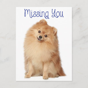 Tarjeta Postal de Saludo de Cachorro Pomerania Te 