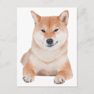 Tarjeta postal de saludo de cachorro Shiba Inu
