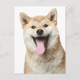 Tarjeta postal de saludo de cachorro Shiba Inu