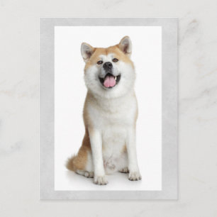 Tarjeta postal de saludo de cachorro Shiba Inu