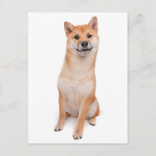 Tarjeta postal de saludo de cachorro Shiba Inu