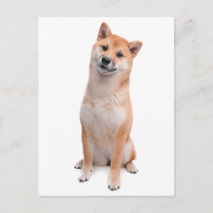 Tarjeta postal de saludo de cachorro Shiba Inu