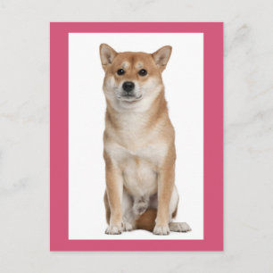 Tarjeta postal de saludo de cachorro Shiba Inu