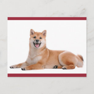 Tarjeta postal de saludo de cachorro Shiba Inu