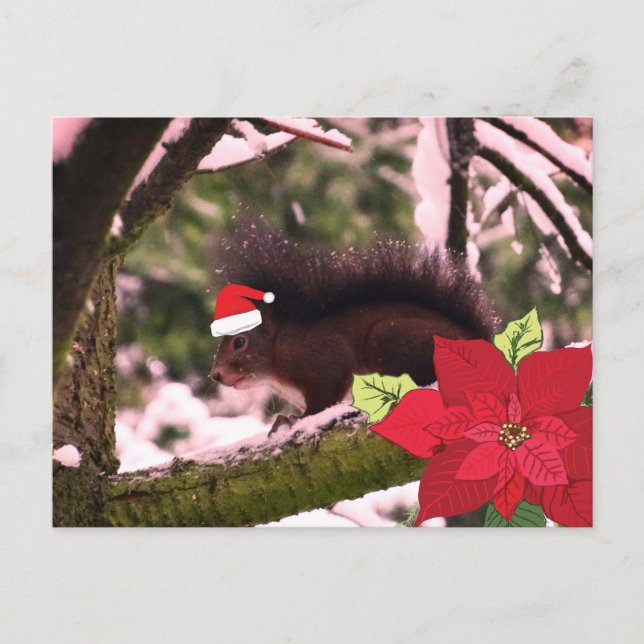 Tarjeta postal de saludo de feriado curado (Anverso)