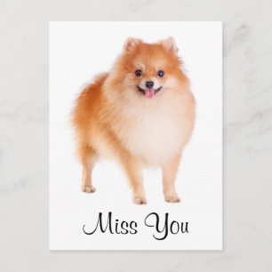 Tarjeta postal de saludo de perro cachorro Pomeran