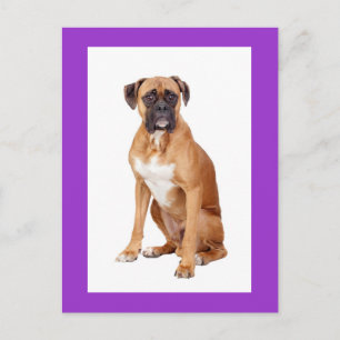Tarjeta postal de saludo en blanco de cachorro de