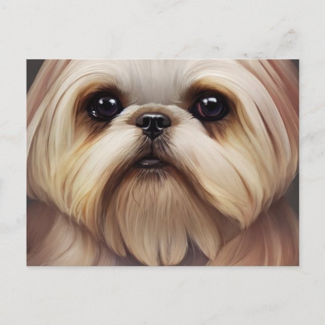 Tarjeta postal de saludos de Shih Tzu (Anverso)