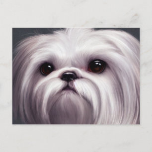 Tarjeta postal de saludos de Shih Tzu