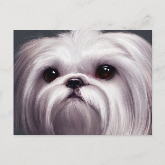 Tarjeta postal de saludos de Shih Tzu (Anverso)