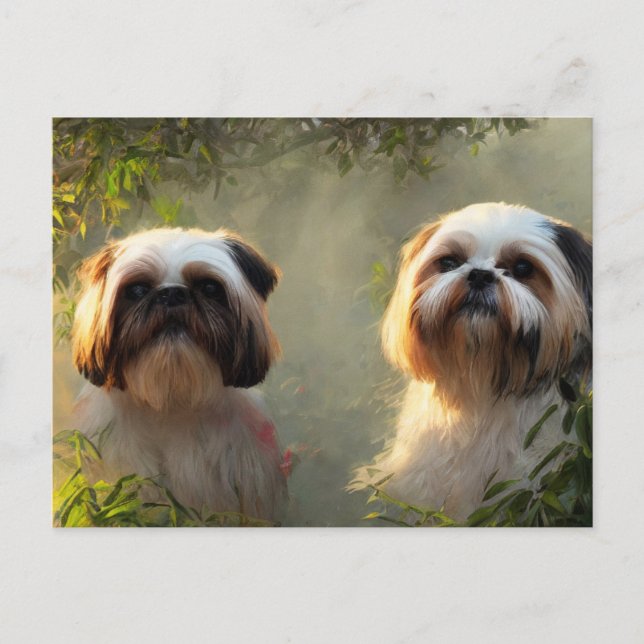 Tarjeta postal de saludos de Shih Tzu (Anverso)