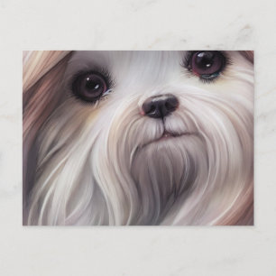 Tarjeta postal de saludos de Shih Tzu
