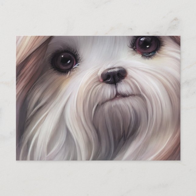 Tarjeta postal de saludos de Shih Tzu (Anverso)