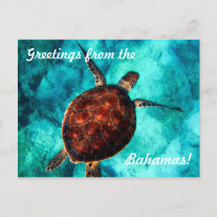 Tarjeta postal de saludos desde las Bahamas