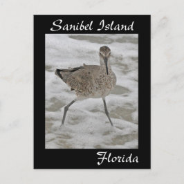 Tarjeta postal de Sandpiper de la isla de Sanibel