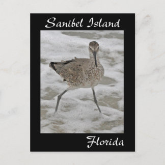 Tarjeta postal de Sandpiper de la isla de Sanibel