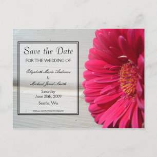 Tarjeta postal de Save the Date Pink Daisy