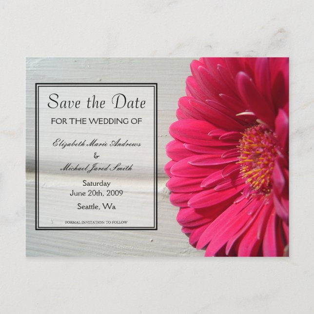 Tarjeta postal de Save the Date Pink Daisy (Anverso)