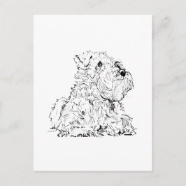 Tarjeta postal de Schnauzer miniatura - Ilustració