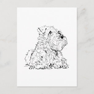 Tarjeta postal de Schnauzer miniatura - Ilustració