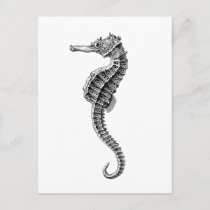 TARJETA POSTAL DE SEAHORSE SEALIFE