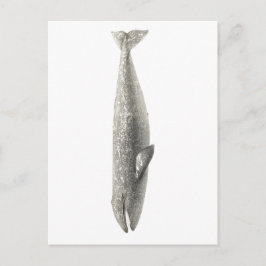 TARJETA POSTAL DE SEALIFE "BALLENA"