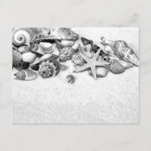 Tarjeta postal de Seashells
