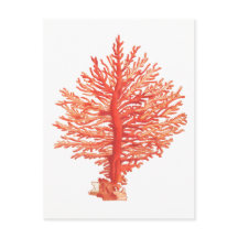 TARJETA POSTAL DE SELECCIÓN "SEACORAL"