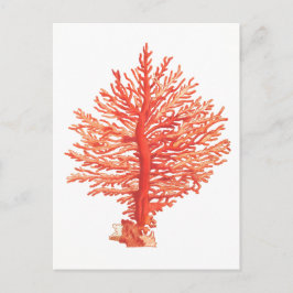 TARJETA POSTAL DE SELECCIÓN "SEACORAL"