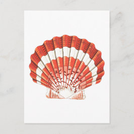 TARJETA POSTAL DE SELLO DE "SCALLOP"