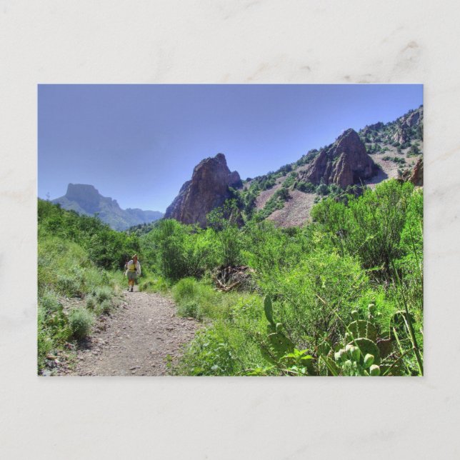 Tarjeta postal de Senderismo Big Bend (Anverso)