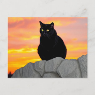 Tarjeta Postal de Silueta de Gato Negro al Atardec
