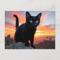 Tarjeta Postal de Silueta de Gato Negro al Atardec