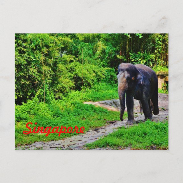 Tarjeta postal de Singapur (Anverso)