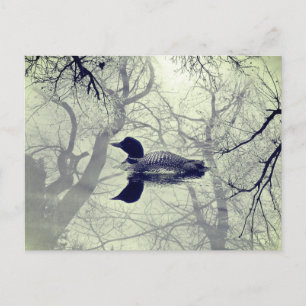 Tarjeta postal de somorgujo en blanco y negro en u