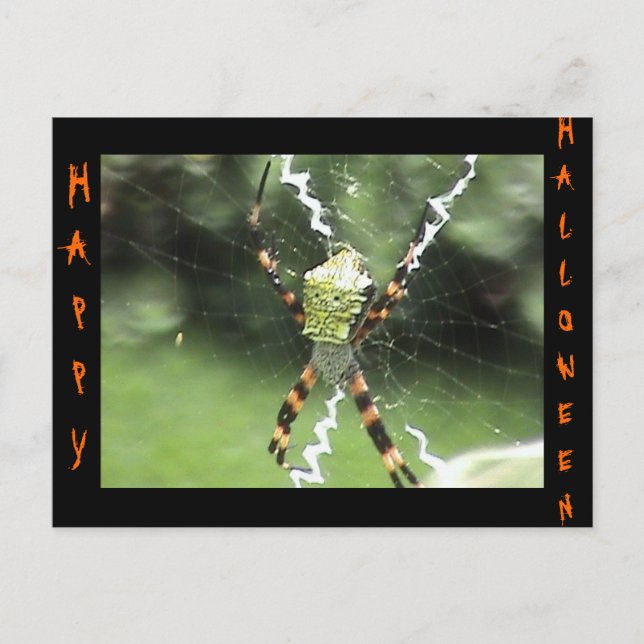 Tarjeta postal de Spider (Anverso)