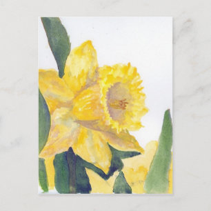 Tarjeta postal de Spring Daffodils