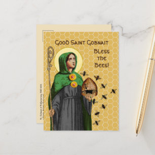 Tarjeta postal de Sta. Gobnait de Ballyvourney (SA