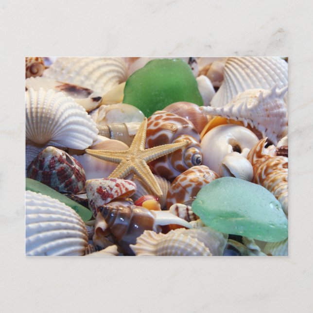 Tarjeta postal de Starfish & Beach Glass (Anverso)
