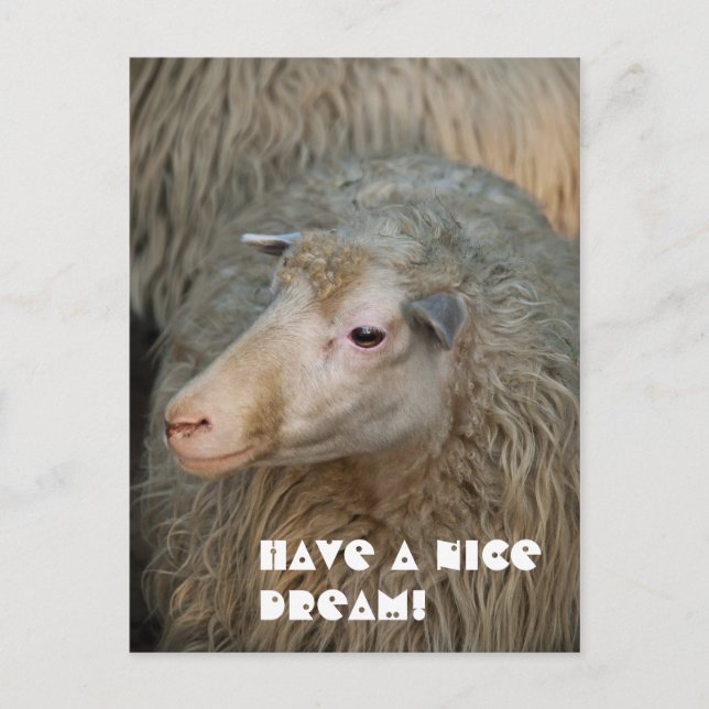 Tarjeta postal de Sueña bonito (Anverso)