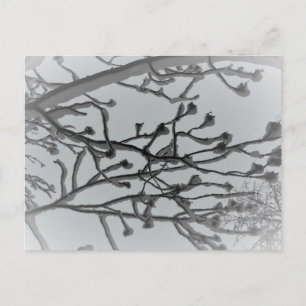 Tarjeta postal de sueño de invierno