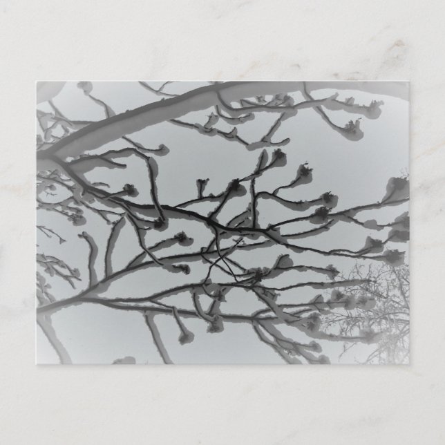 Tarjeta postal de sueño de invierno (Anverso)