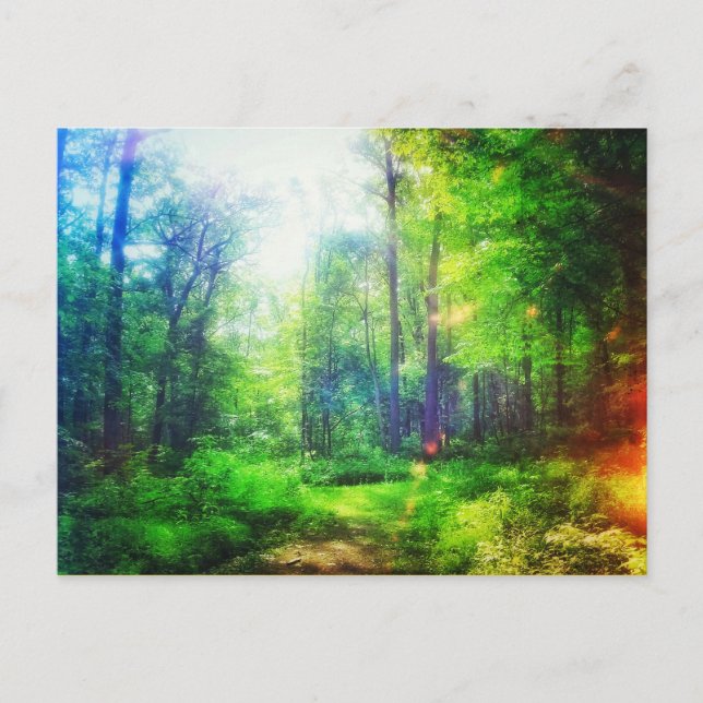 TARJETA POSTAL DE SUNCOLORES FORESTALES (Anverso)