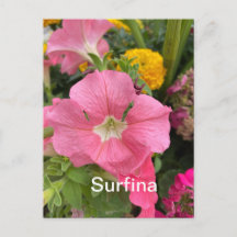 Tarjeta postal de surfina