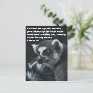 Tarjeta postal de suricata cristiana