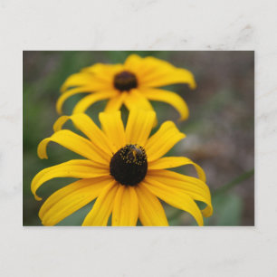Tarjeta postal de Susana de ojos negros y abeja